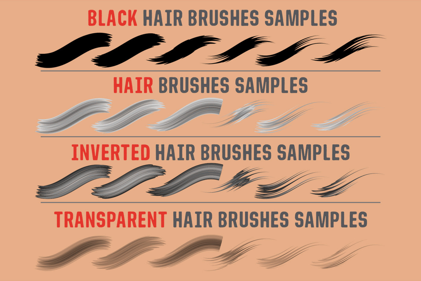 Hair Brushes - Adobe Illustrator Vector Brushes