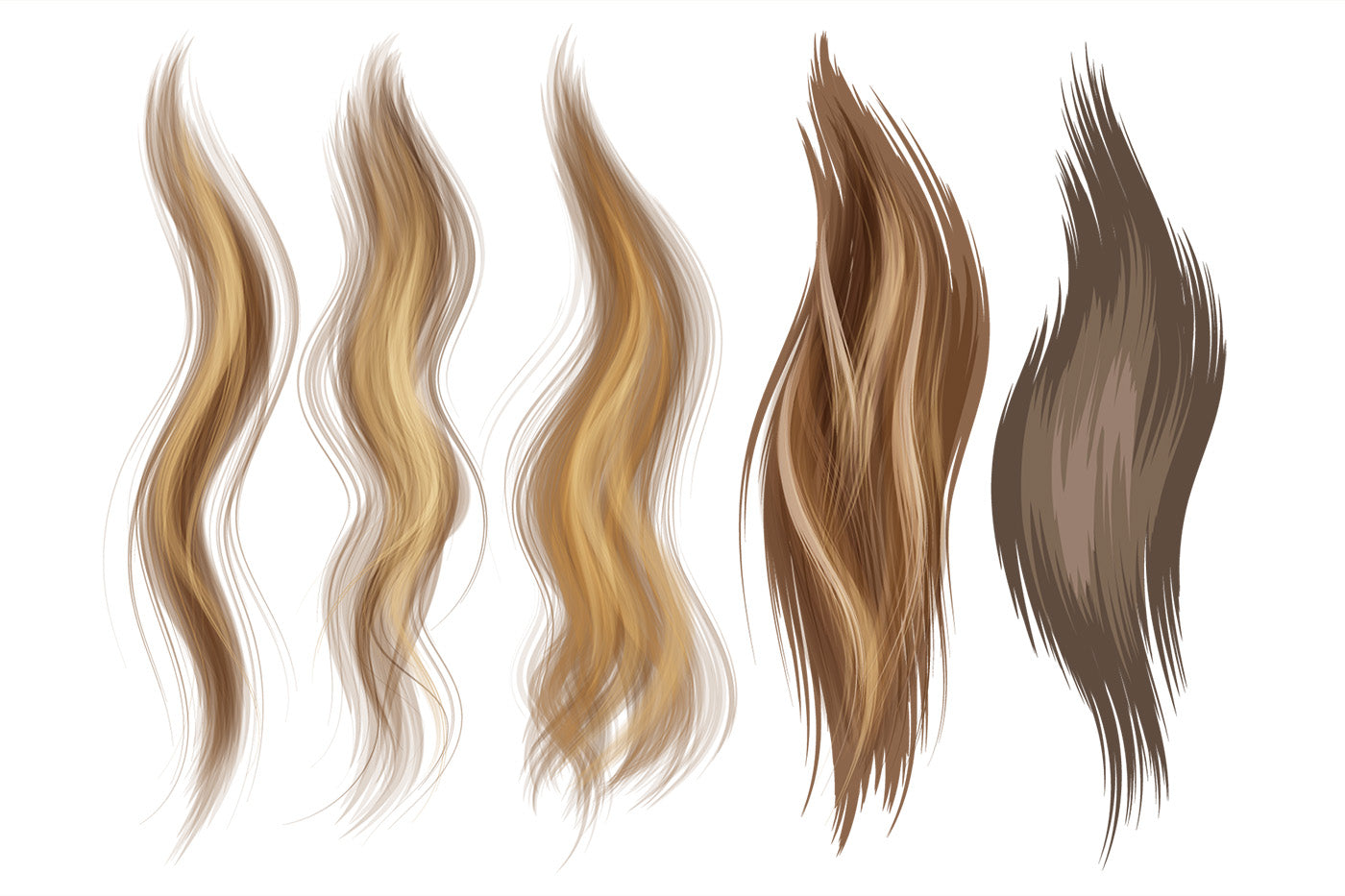 Hair Brushes - Adobe Illustrator Vector Brushes