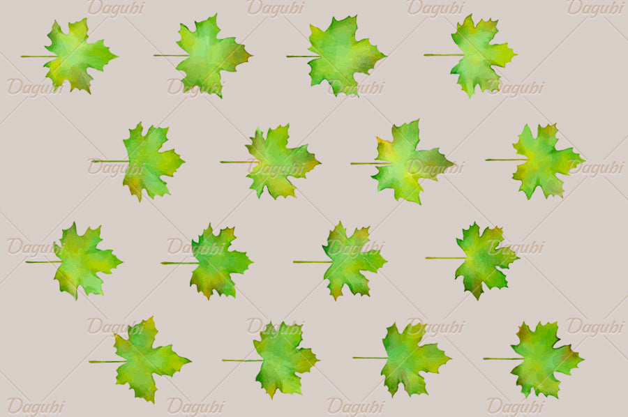 Maple Brushes Big Set - Illustrator Brushes