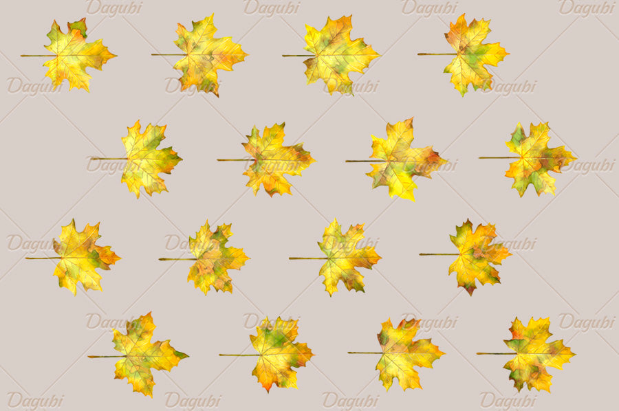 Maple Brushes Big Set - Illustrator Brushes