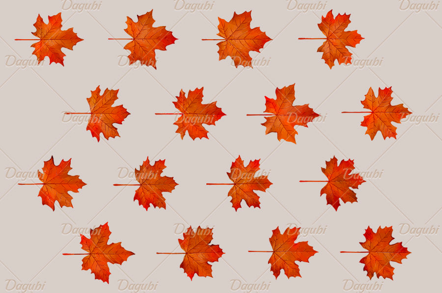 Maple Brushes Big Set - Illustrator Brushes