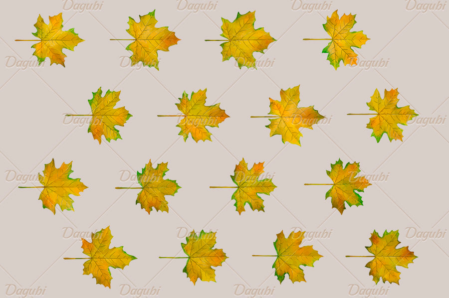 Maple Brushes Big Set - Illustrator Brushes
