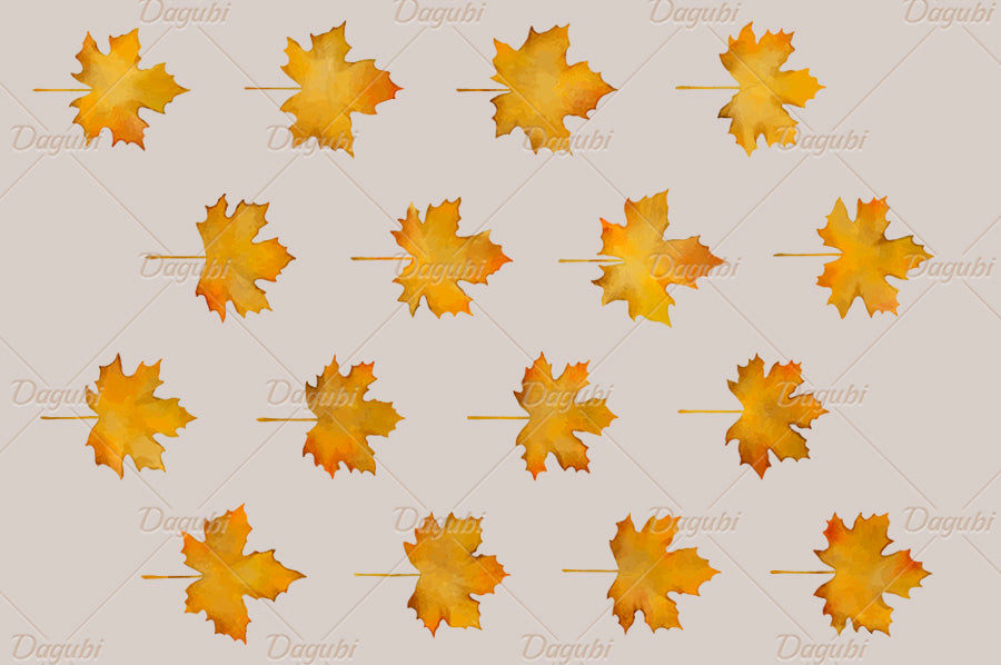 Maple Brushes Big Set - Illustrator Brushes