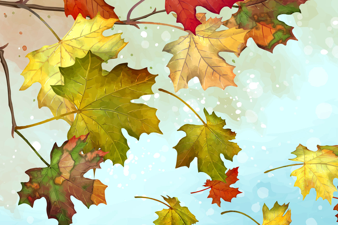 Maple Brushes Big Set - Illustrator Brushes