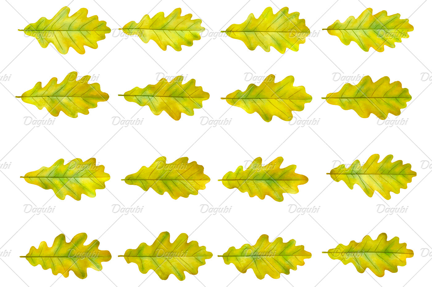 Oak Brushes Big Set - Illustrator Brushes
