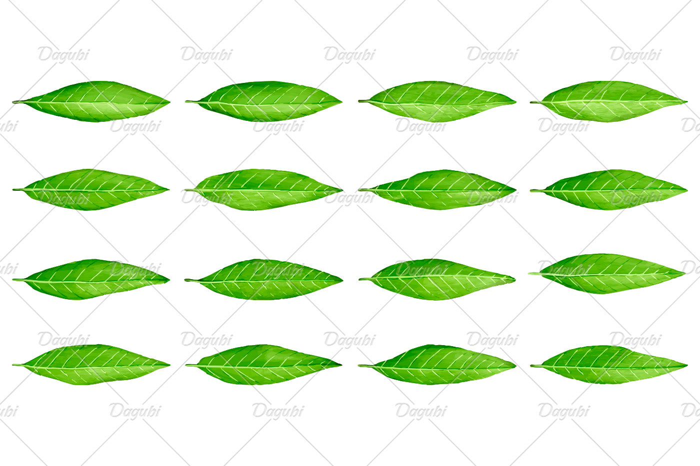 Walnut Brushes Big Set - Illustrator Brushes