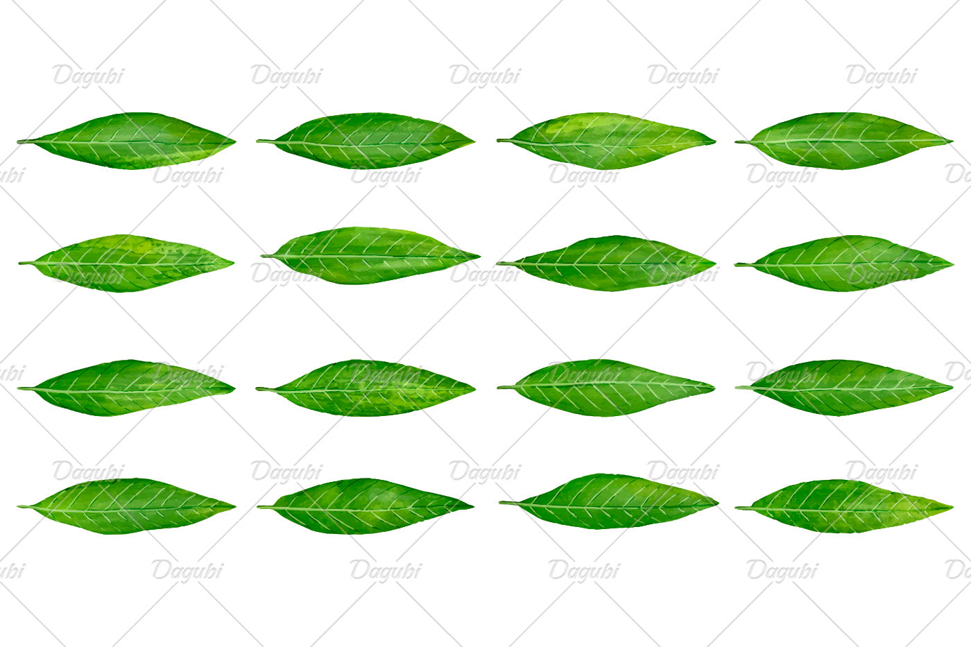 Walnut Brushes Big Set - Illustrator Brushes