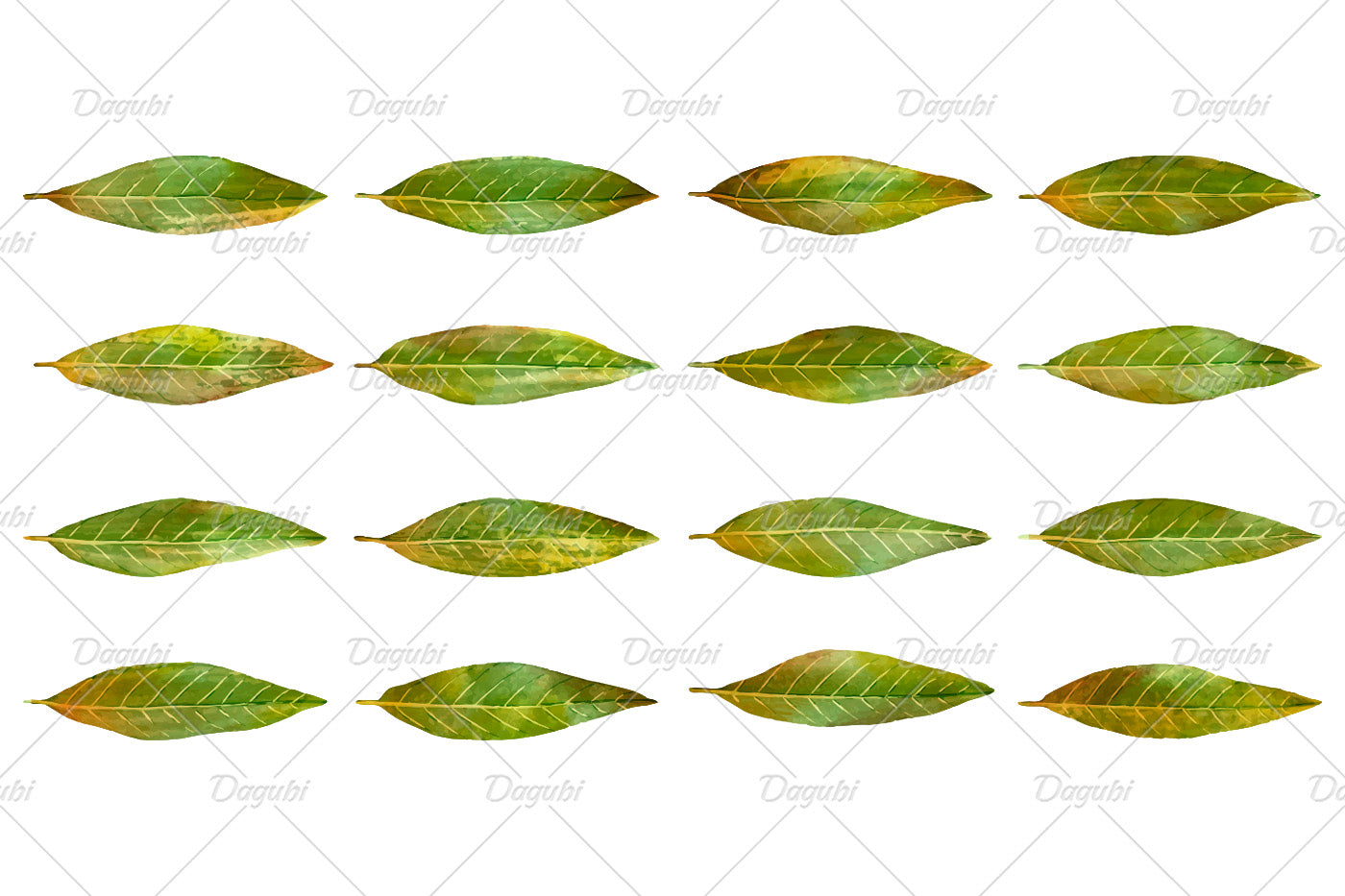 Walnut Brushes Big Set - Illustrator Brushes