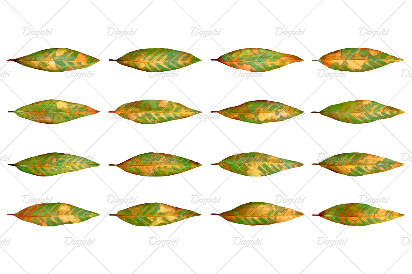 Walnut Brushes Big Set - Illustrator Brushes