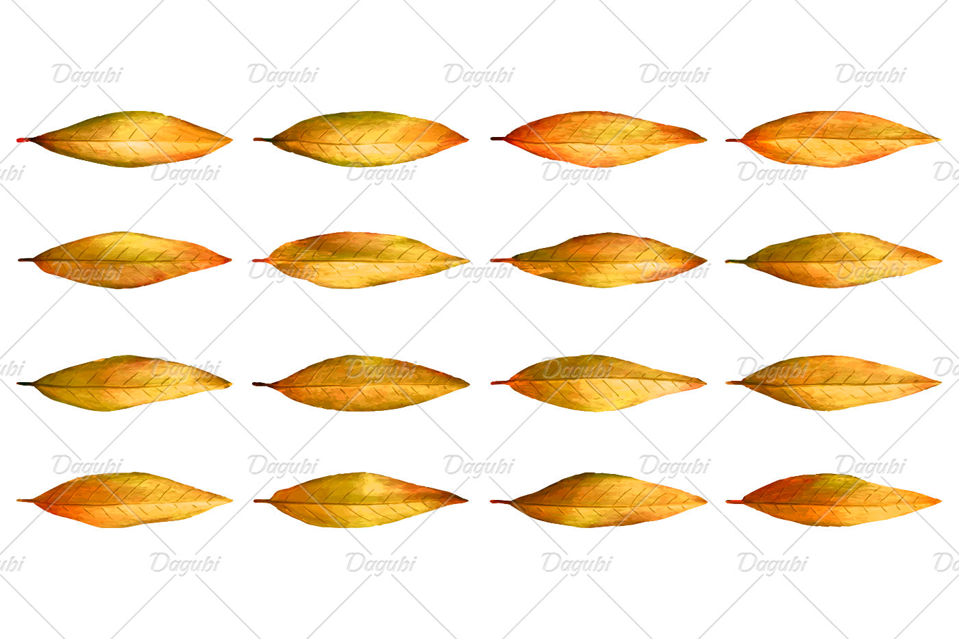 Walnut Brushes Big Set - Illustrator Brushes