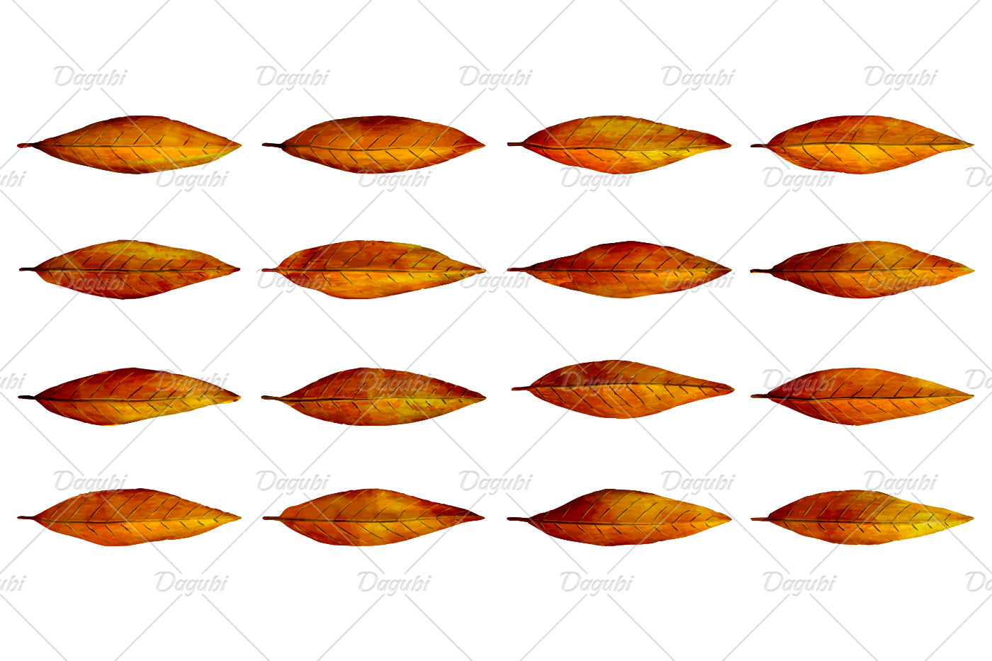 Walnut Brushes Big Set - Illustrator Brushes