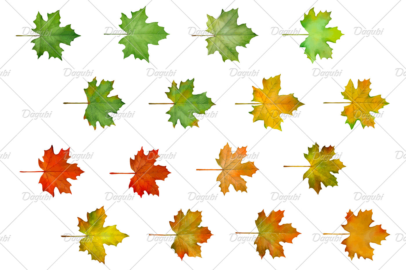 Maple Brushes Small Set - Illustrator Brushes