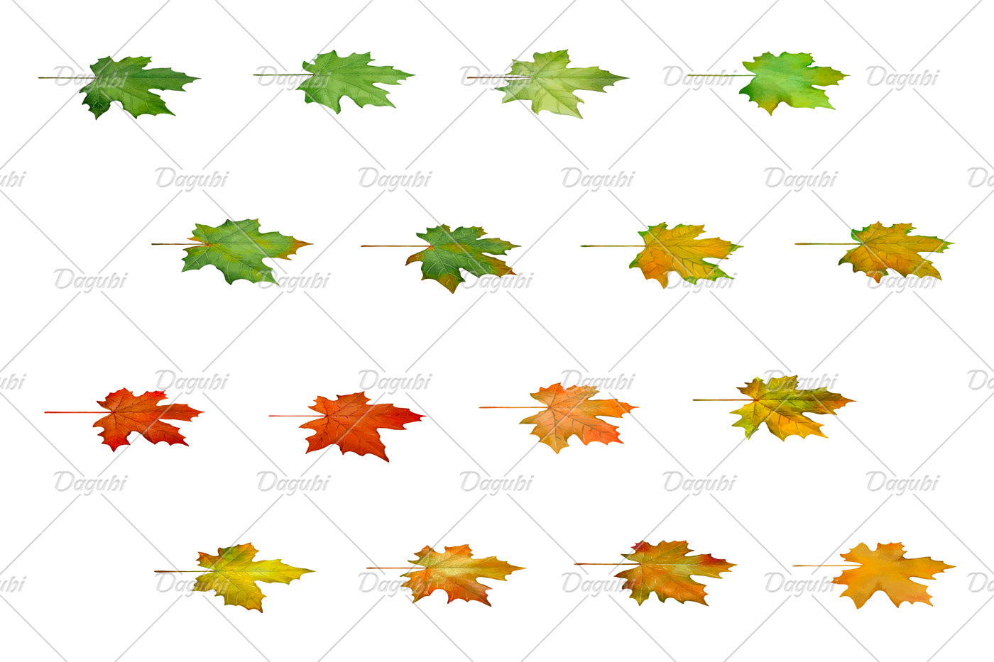 Maple Brushes Small Set - Illustrator Brushes