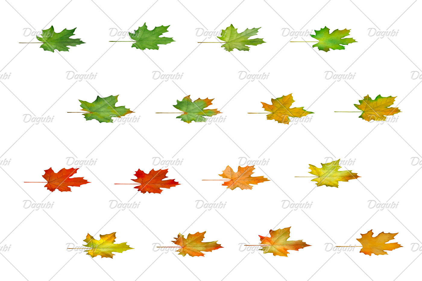 Maple Brushes Small Set - Illustrator Brushes
