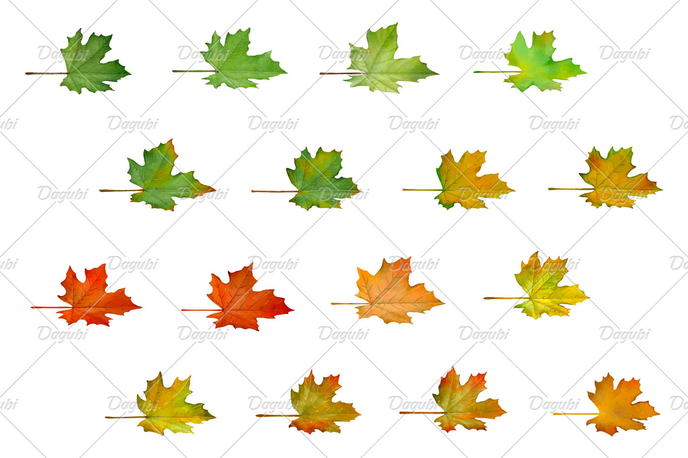 Maple Brushes Small Set - Illustrator Brushes
