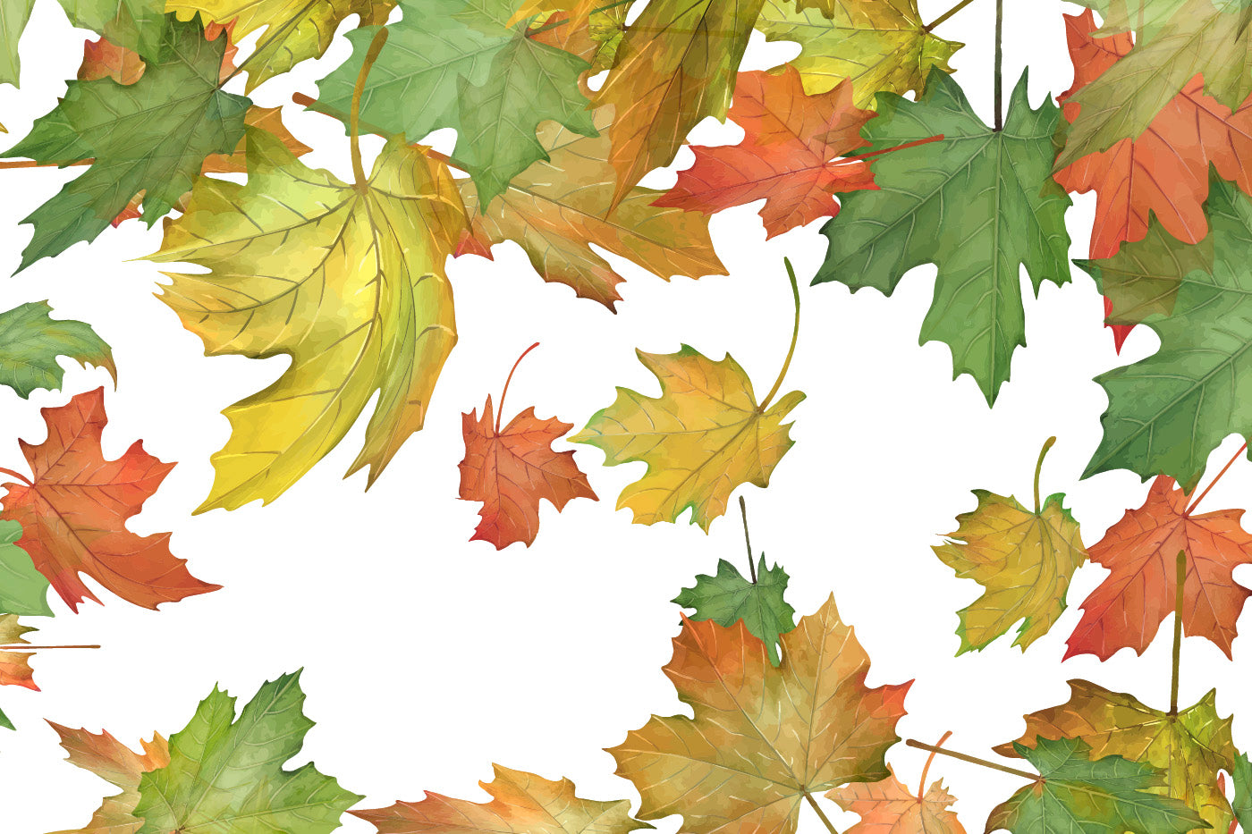 Maple Brushes Small Set - Illustrator Brushes
