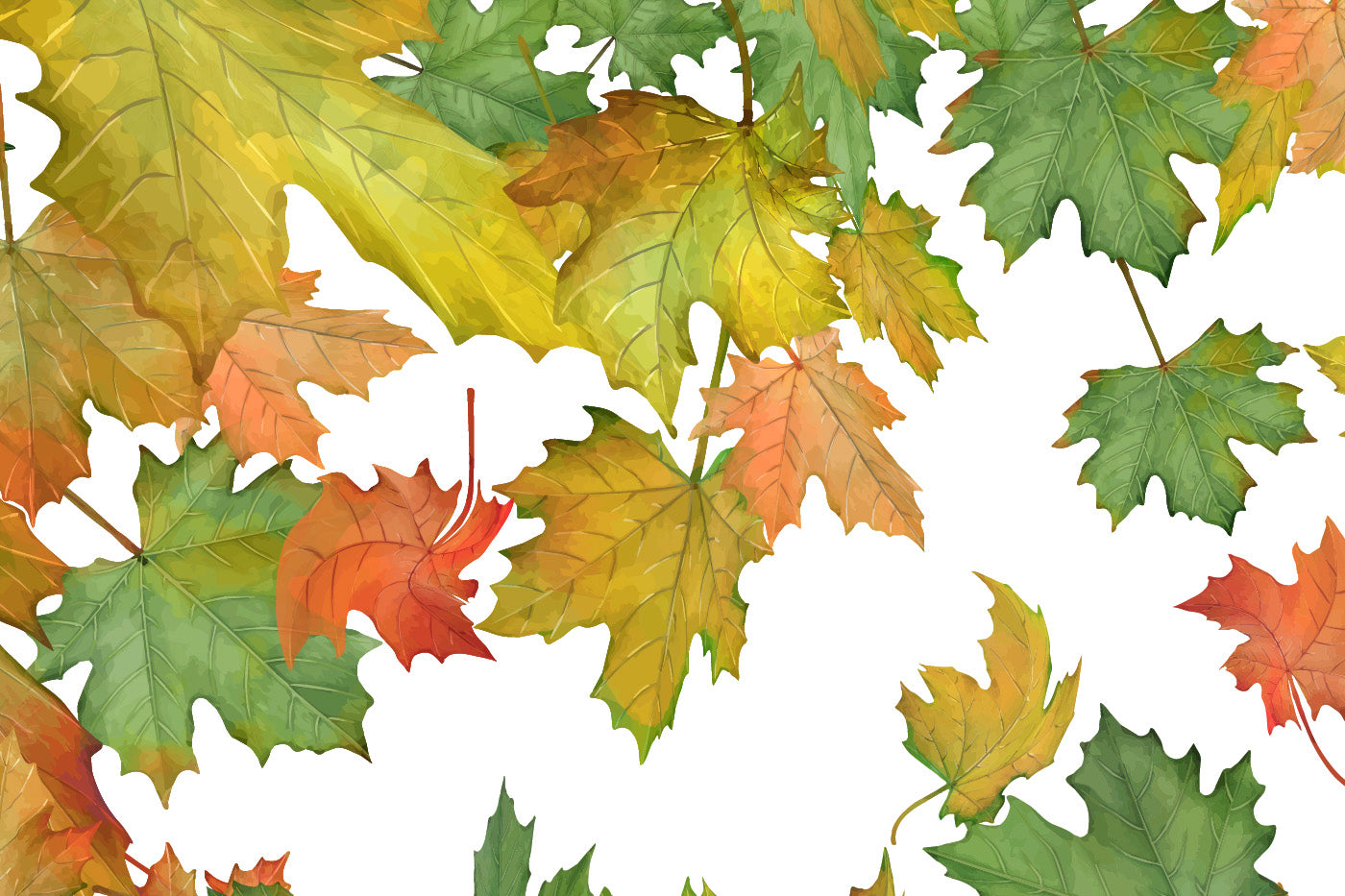 Maple Brushes Small Set - Illustrator Brushes