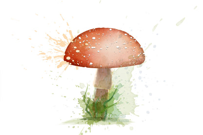 35 Vector Watercolor Brushes - How to draw a Mushroom in Adobe Illustrator