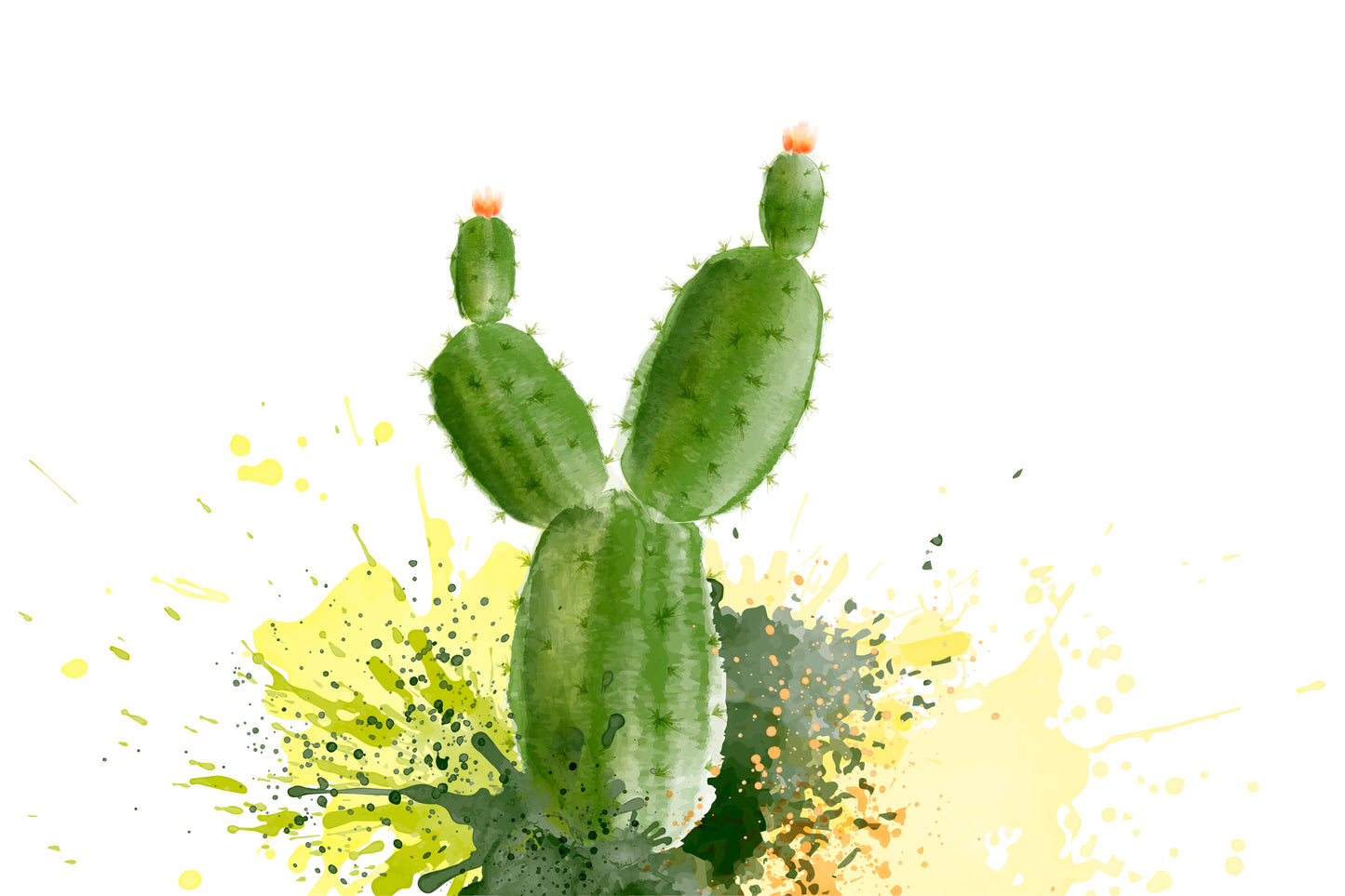 Cactus Image and 28 Vector Watercolor Brushes