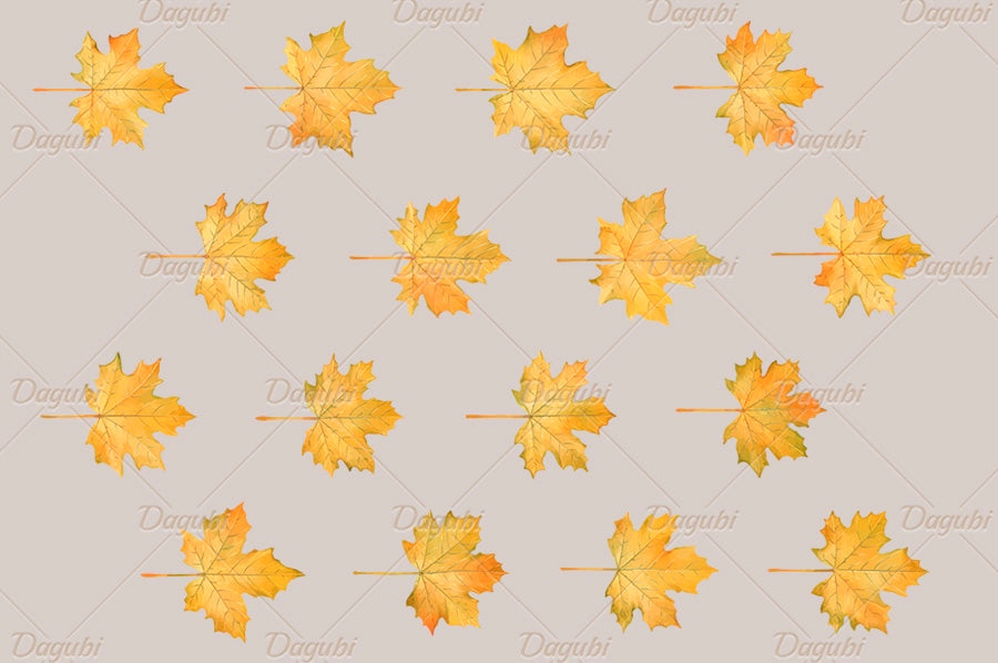 Maple Brushes Big Set - Illustrator Brushes