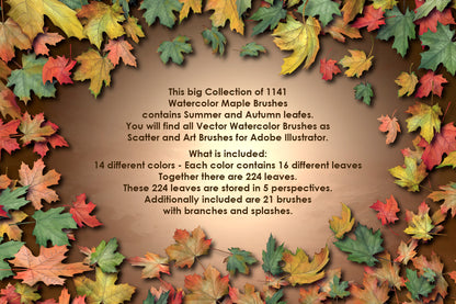 Maple Brushes Big Set - Illustrator Brushes