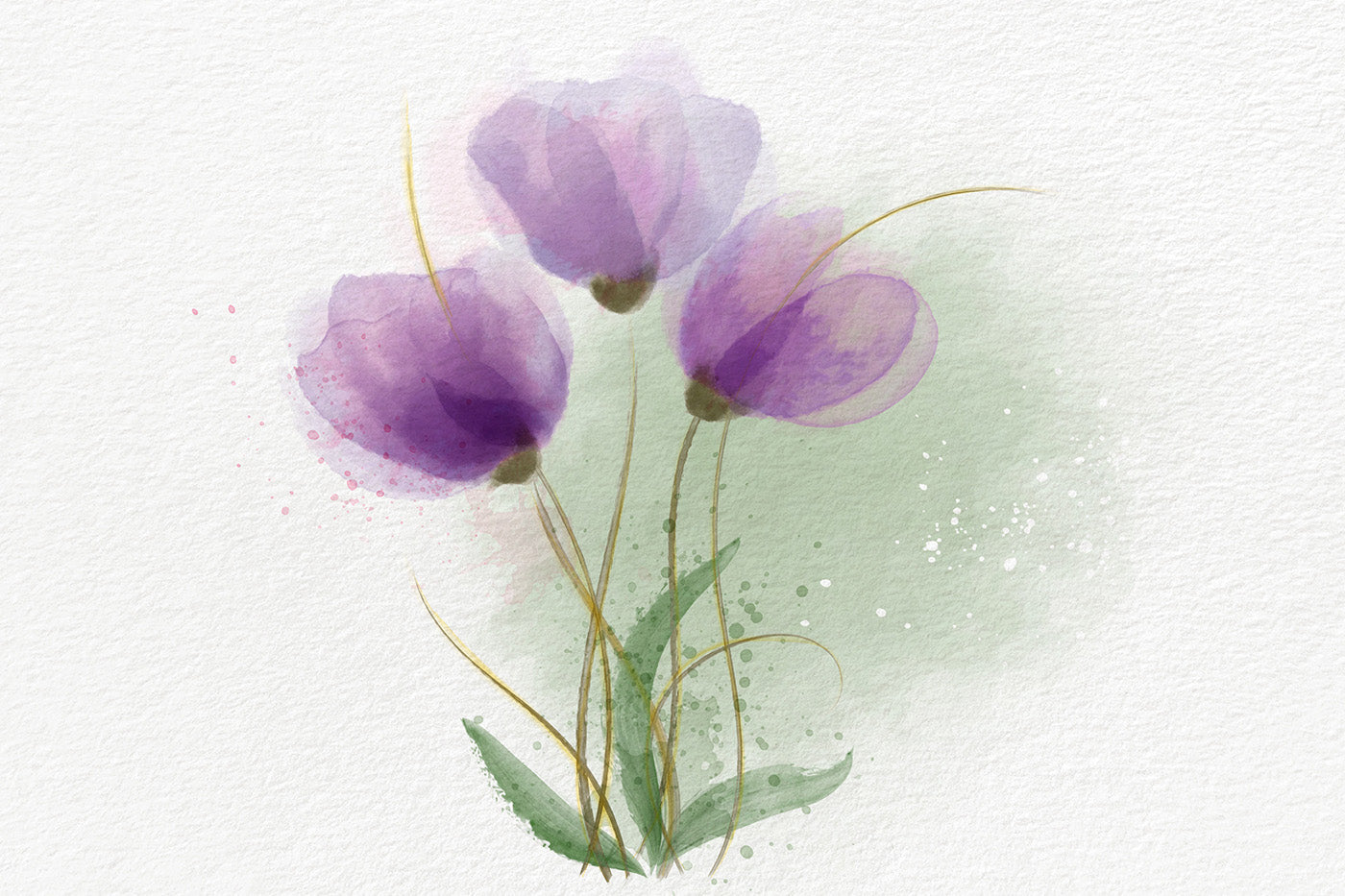 Violet Flowers Image and 43 Vector Watercolor Brushes