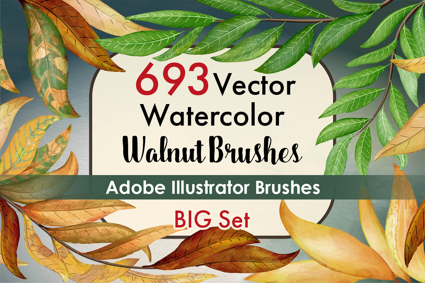 Walnut Brushes Big Set - Illustrator Brushes