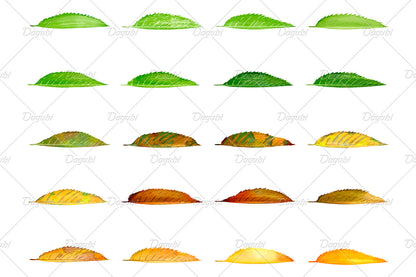 Cherry Brushes Small Set - Illustrator Brushes
