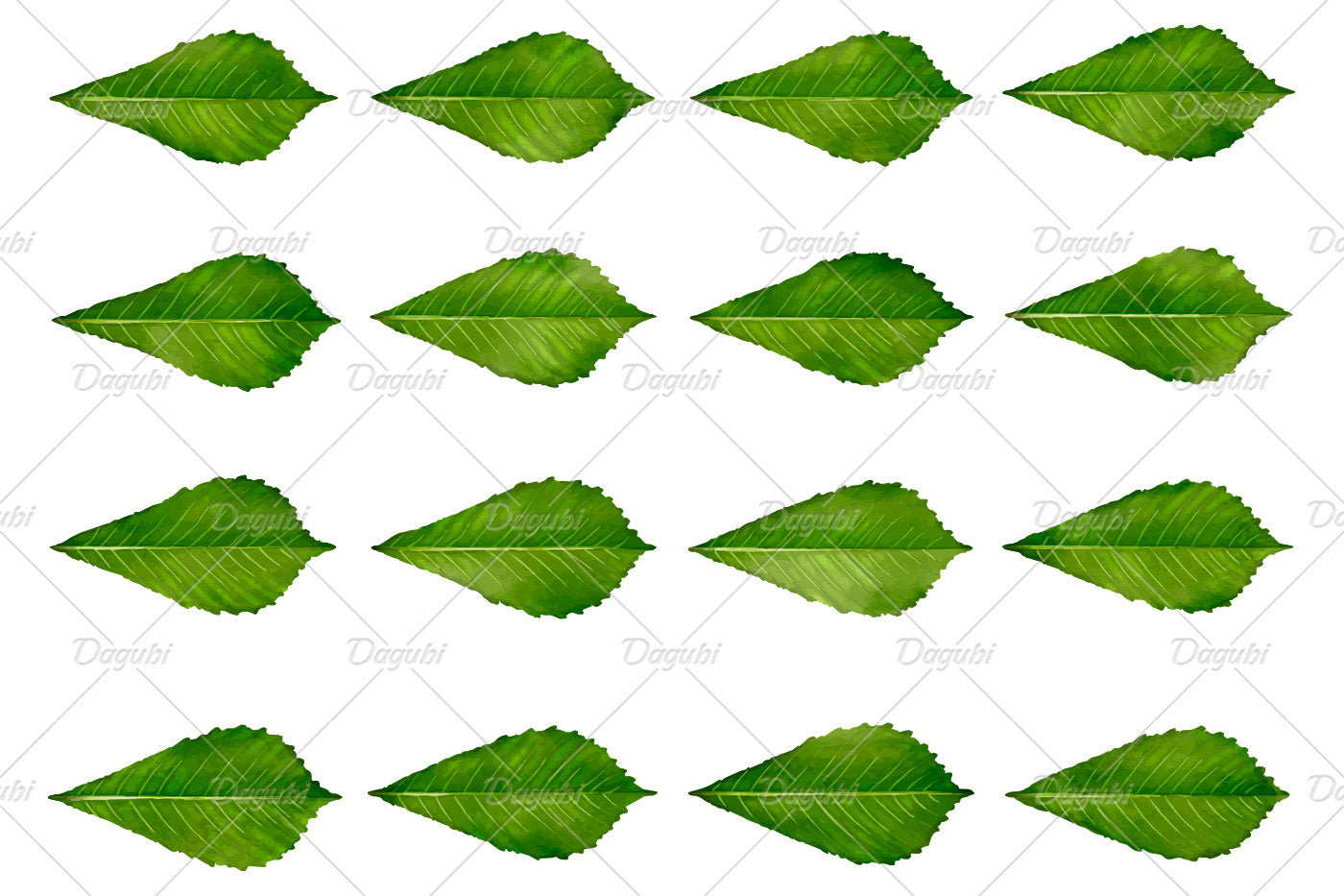Chestnut Leaf Brushes Big Set - Illustrator Brushes