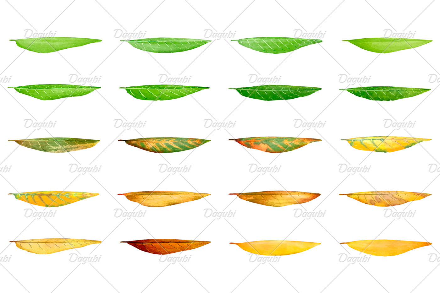 Walnut Brushes Small Set - Illustrator Brushes